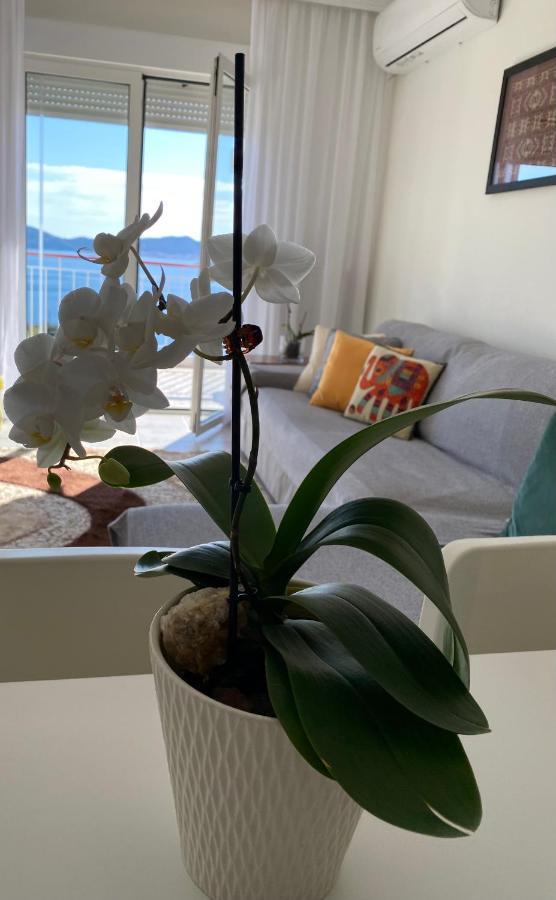 Mimoza'S Sea View Apartment PalaiónTsiflíkion Kültér fotó