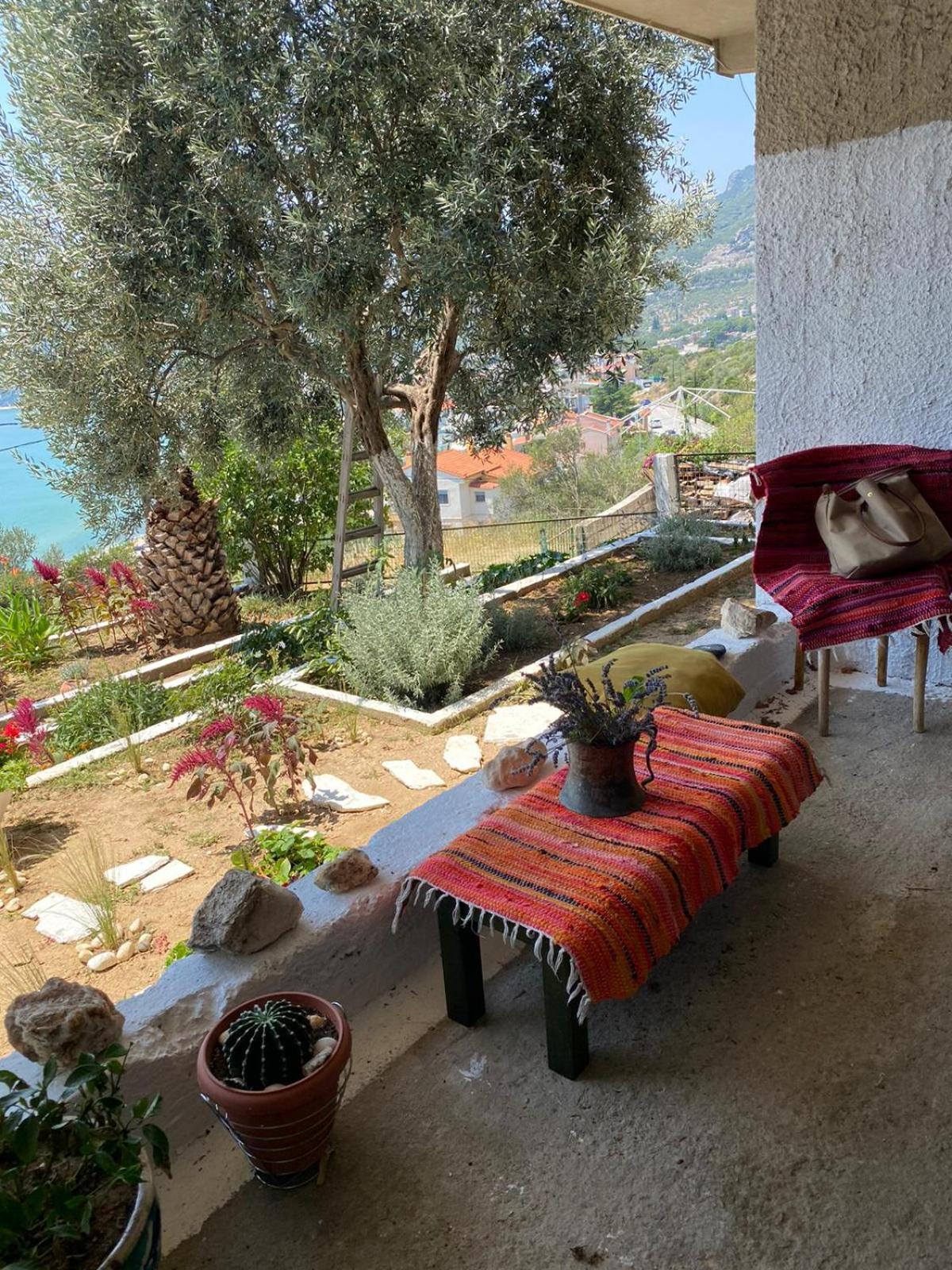 Mimoza'S Sea View Apartment PalaiónTsiflíkion Kültér fotó